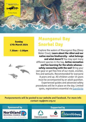 Maunganui Bay Poster 24