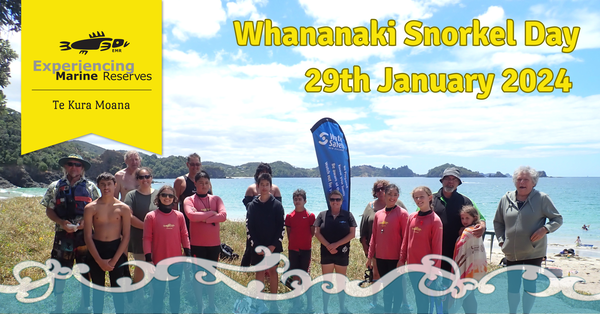 Whananaki Event banner