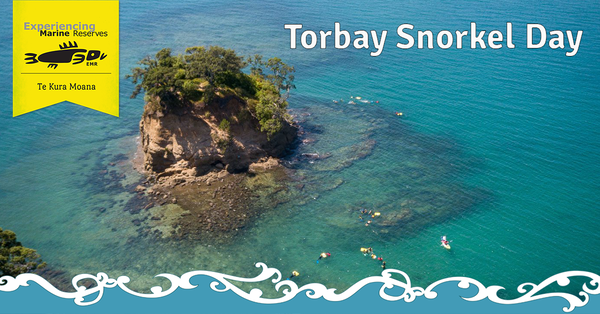 Torbay 2021 22 facebook