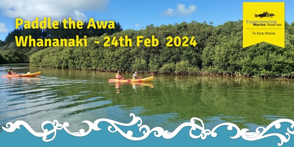 Whananaki paddle day 24