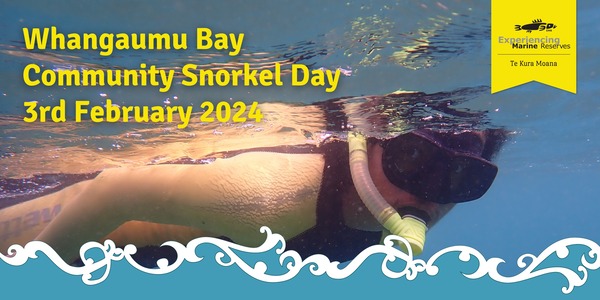 Whangaumu Snorkel 24