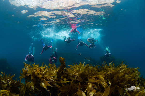 2019.05.18 PKSnorkelDay LD 03290