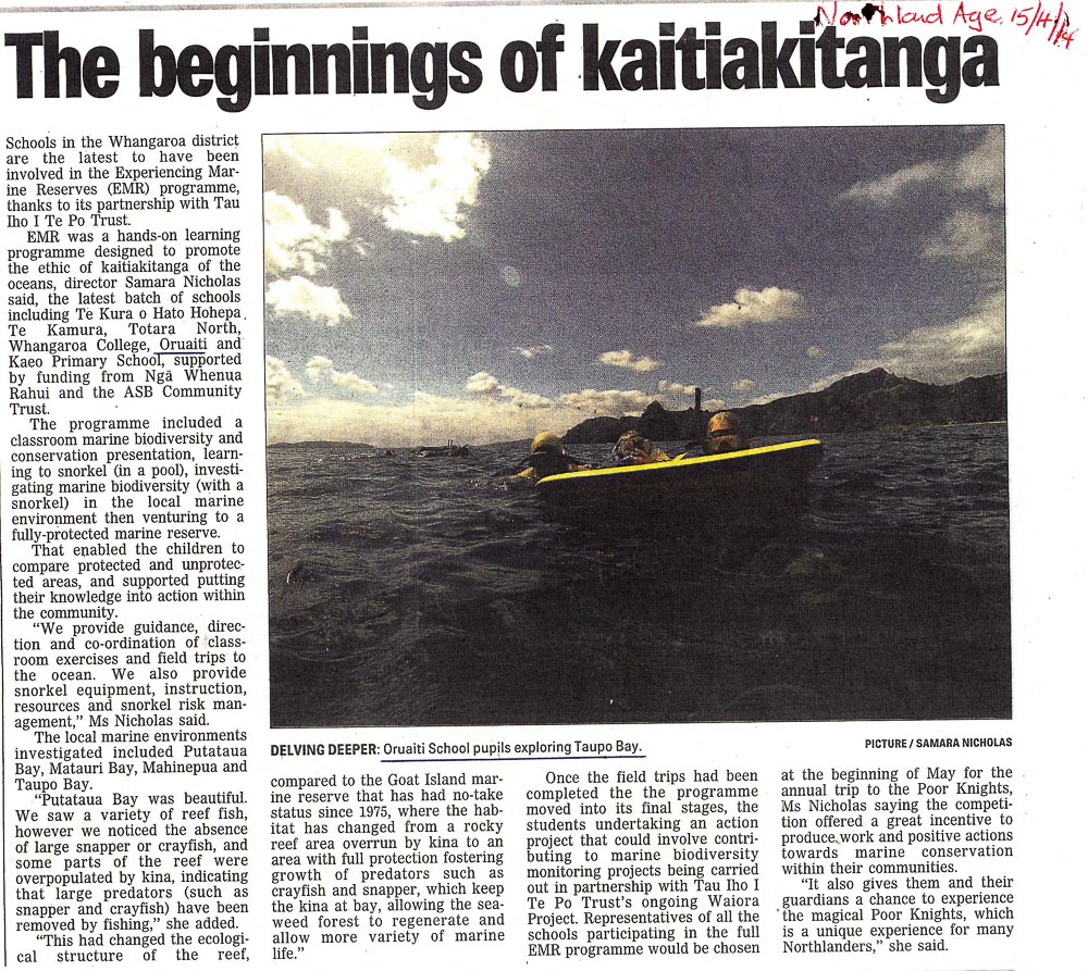 kaitiakitanga article