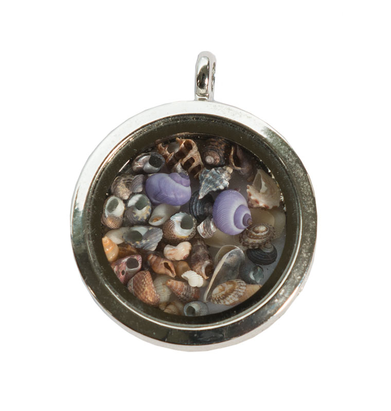 micro mollusc locket